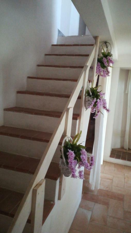 B&B Domu Incanto Sa Domu Sarrabesa มูราเวรา ภายนอก รูปภาพ